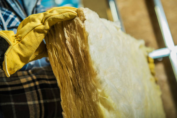 Best Residential Insulation in Bloomfield, NM